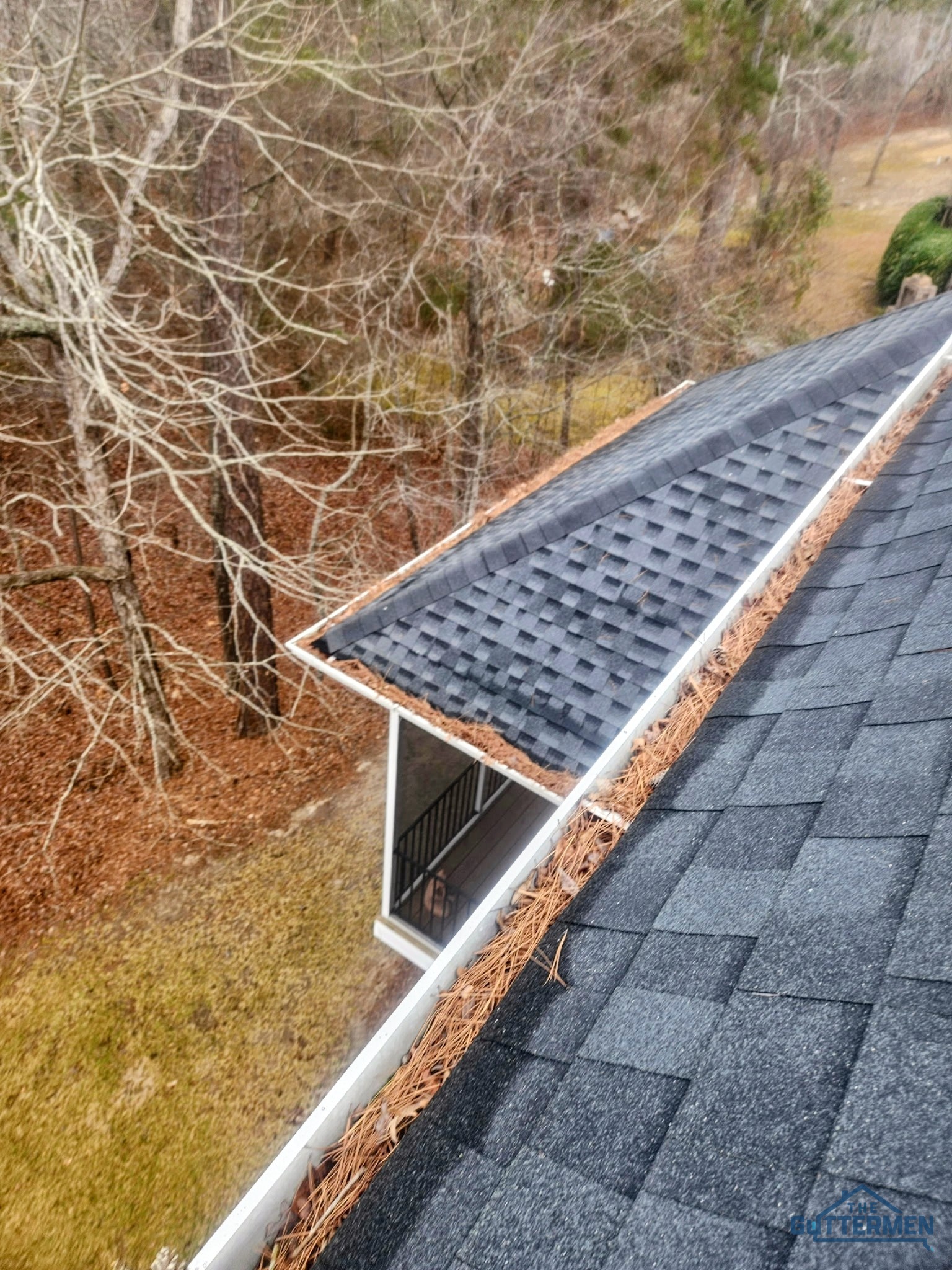 Gutter cleanout service