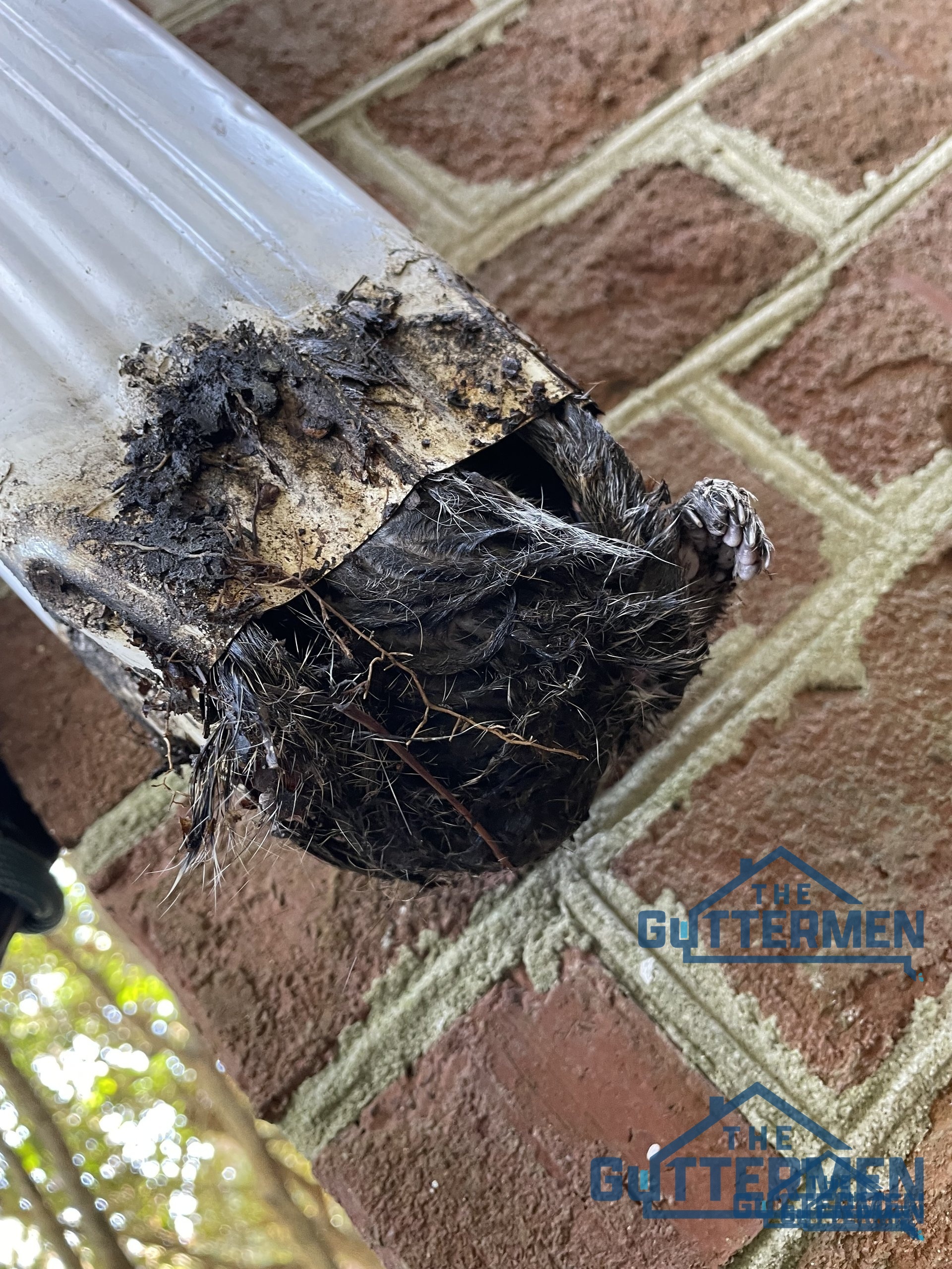 Gutter cleaning service